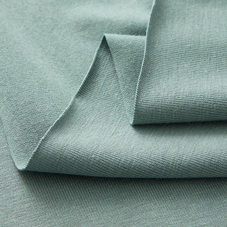 Bamboo Viscose Jersey Plain – reed,  image number 4