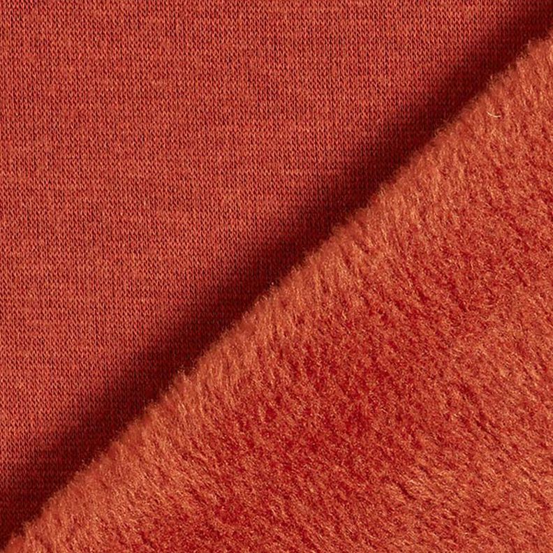 Alpine Fleece Comfy Sweatshirt Plain – terracotta,  image number 5
