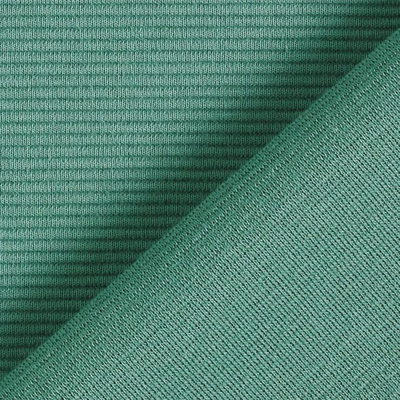 Ottoman ribbed jersey Plain – reed,  image number 4