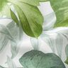 Decorative fabric Canvas Large monstera leaves – white/grass green,  thumbnail number 2