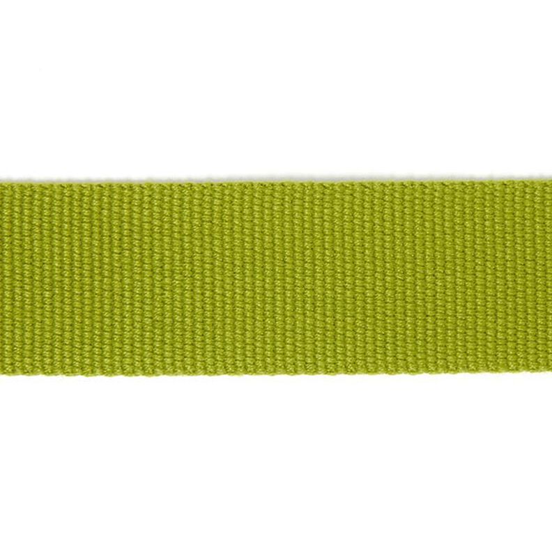 Bag Strap Webbing Basic - apple green,  image number 1