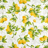 Decor Fabric Panama lemons – white/lemon yellow,  thumbnail number 1