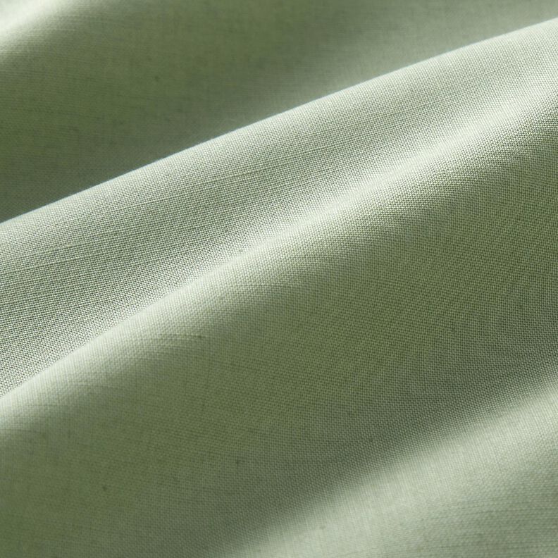 Cotton Poplin Plain – reed,  image number 2