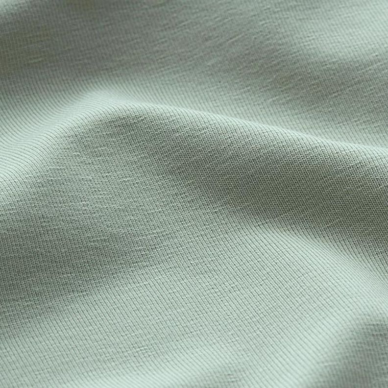 Medium Cotton Jersey Plain – reed,  image number 4