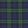Stretch Tartan – navy/green,  thumbnail number 1