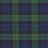 Stretch Tartan – navy/green,  thumbnail number 1