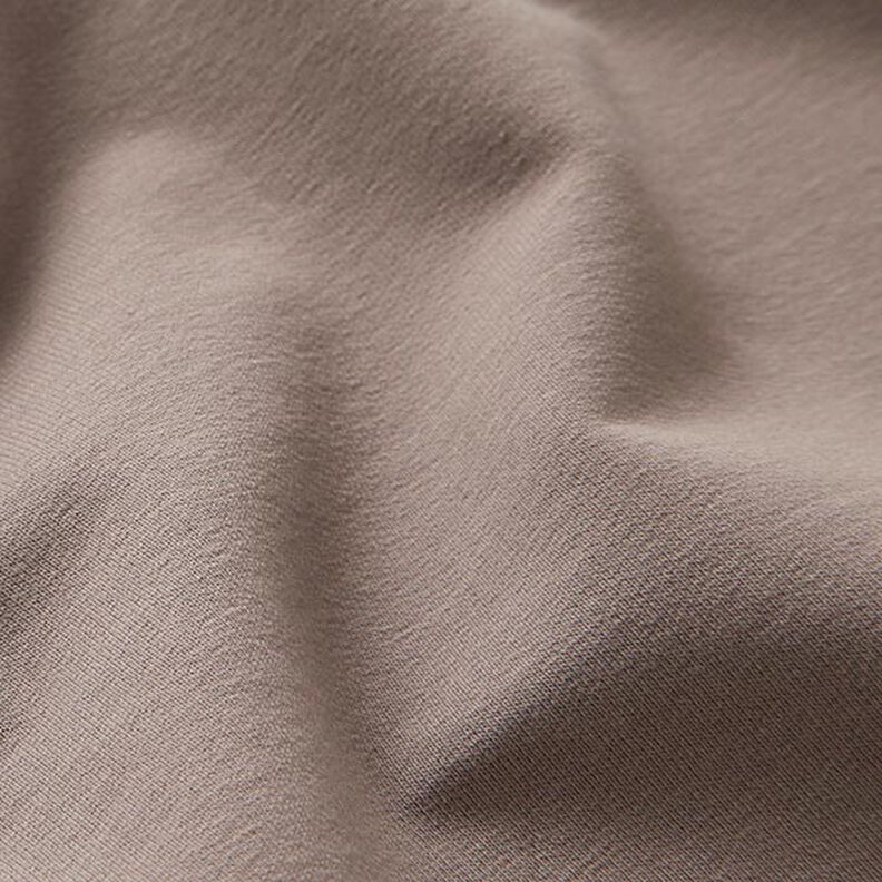 Light French Terry Plain – taupe,  image number 3