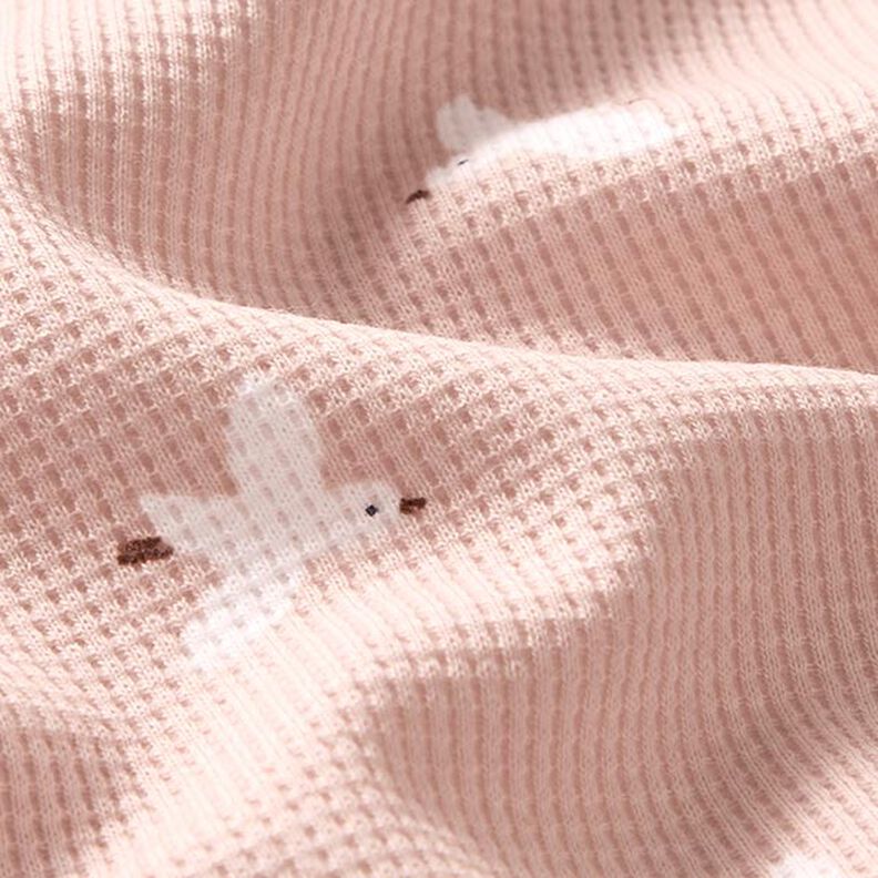 Waffle Jersey Birds | by Poppy – rosé, image number 3