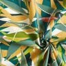 Coated Cotton Delicate Leaves – blue spruce/curry yellow,  thumbnail number 4