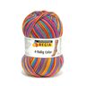 Regia 4-ply Color, Schachenmayr, 100 g (3726),  thumbnail number 1