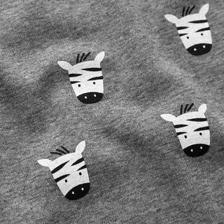 Alpine Fleece Zebras Mottled – antique silver, 