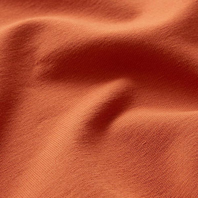 Light French Terry Plain – fawn,  image number 3