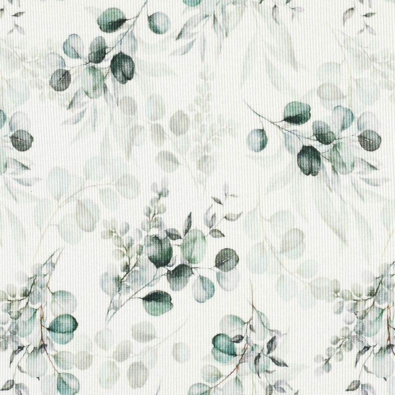 Ribbed Jersey Eucalyptus Digital Print – offwhite,  image number 1