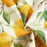 Outdoor Fabric Canvas lemons – ivory/lemon yellow,  thumbnail number 4