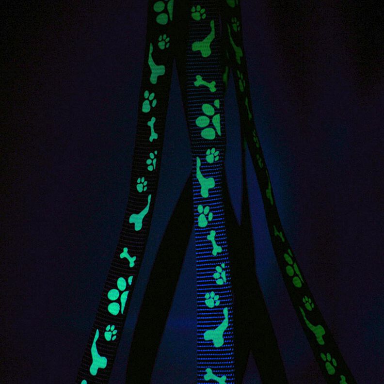 Reflective woven tape Dog leash [20 mm]  – light blue,  image number 3