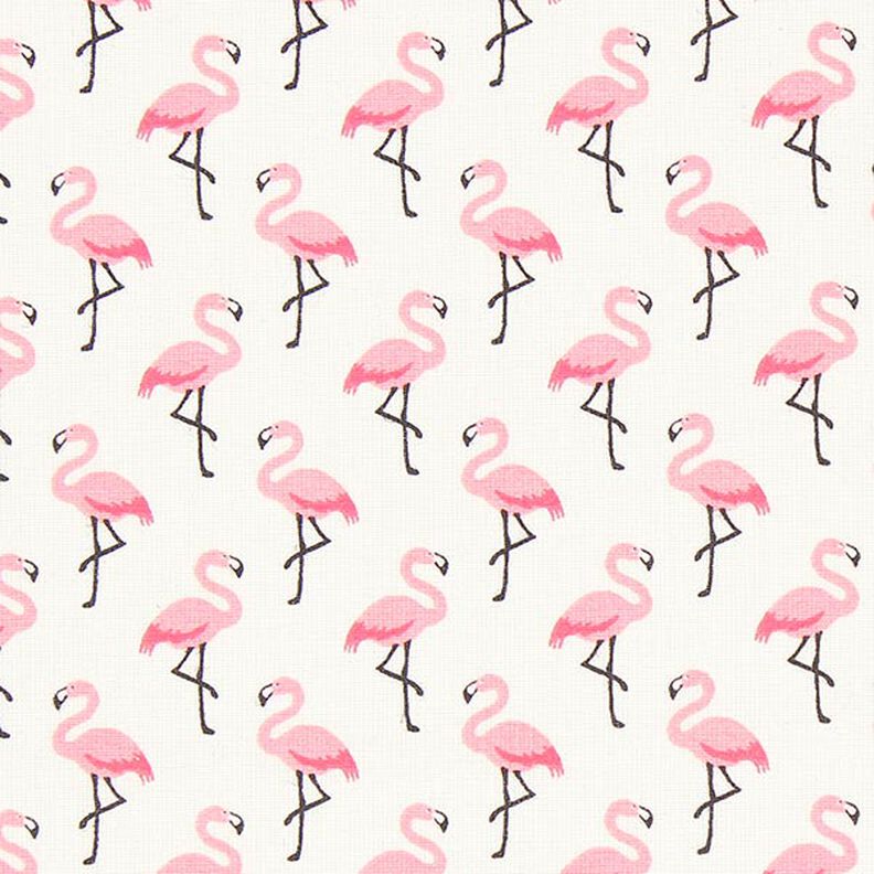 Flamingo Coated Cotton,  image number 1