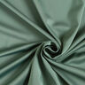 Microfibre Satin – reed,  thumbnail number 1