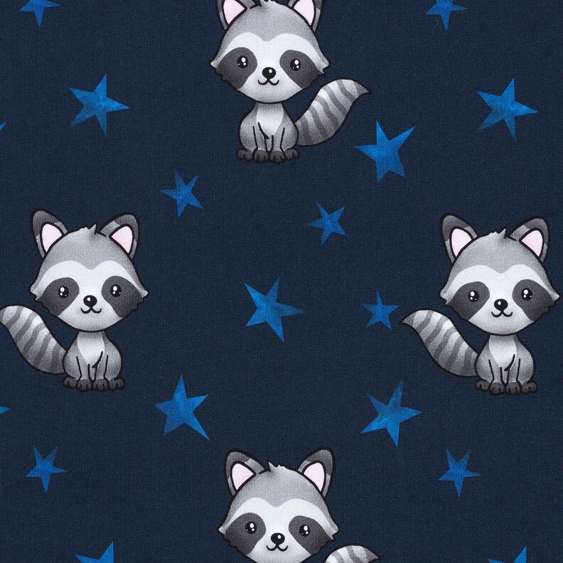 Cotton Jersey Raccoon with stars | Glitzerpüppi – midnight blue/silver,  image number 1