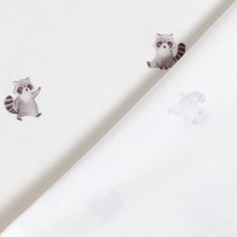 GOTS Cotton Jersey cute raccoons Digital Print – ivory, image number 4