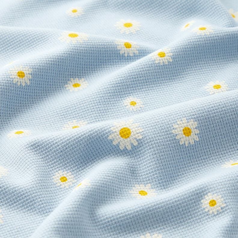 Waffle Jersey Ox-eye daisies – silver blue, image number 2