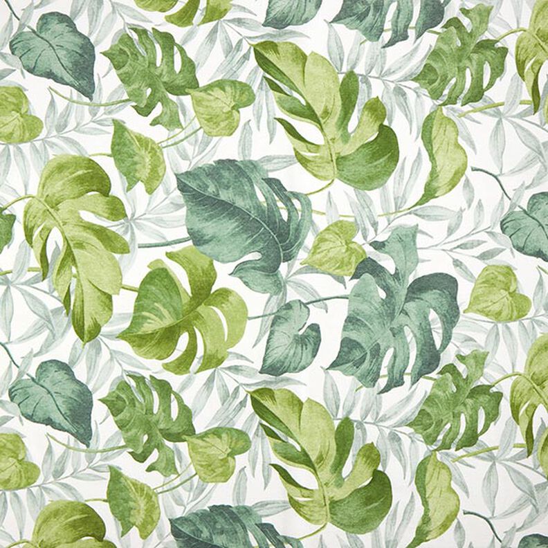 Decorative fabric Canvas Large monstera leaves – white/grass green,  image number 1