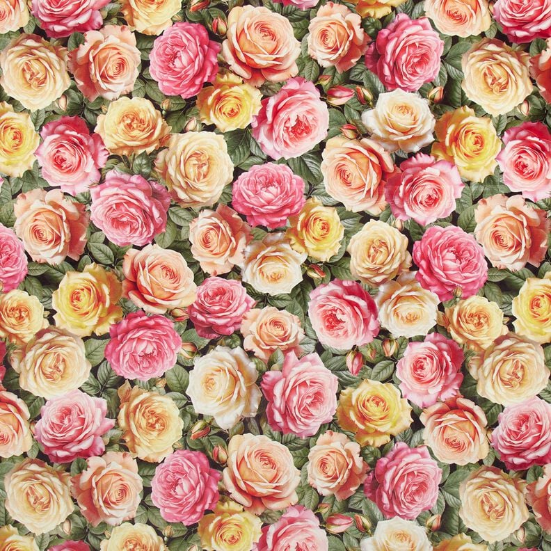 Decor Velvet lush roses – pink/yellow,  image number 1