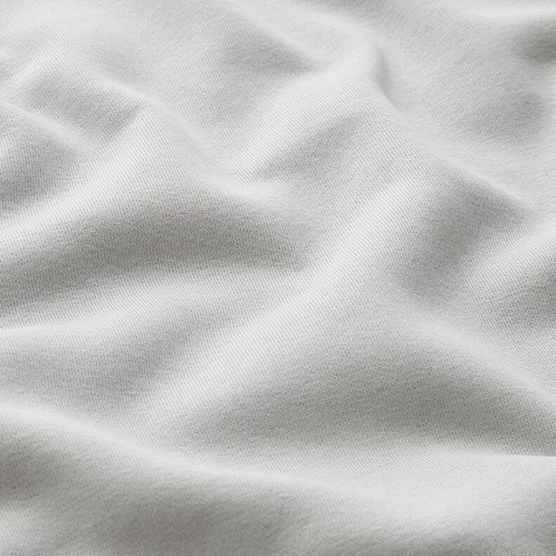 Brushed Sweatshirt Fabric plain Lurex – silver grey/silver,  image number 3