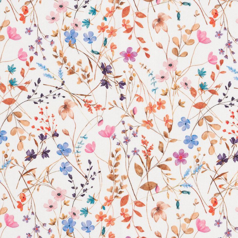 GOTS French Terry Sea of dried flowers Digital Print – ivory, image number 1
