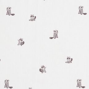 GOTS Cotton Jersey cute raccoons Digital Print – ivory, 