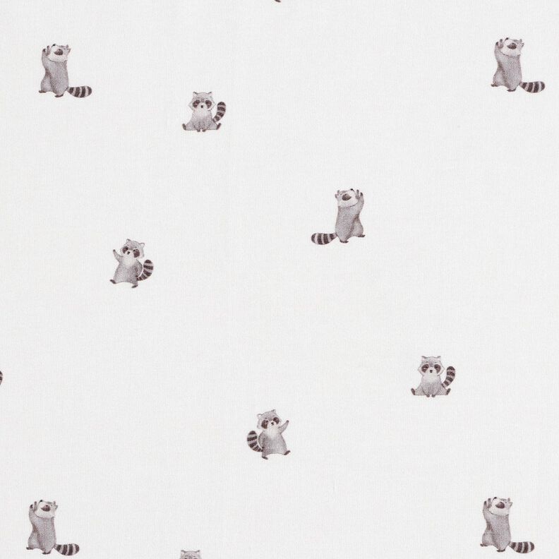 GOTS Cotton Jersey cute raccoons Digital Print – ivory, image number 1