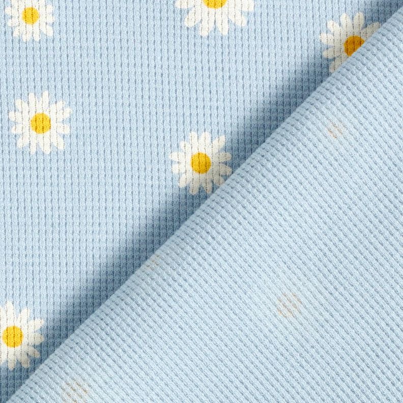 Waffle Jersey Ox-eye daisies – silver blue,  image number 4