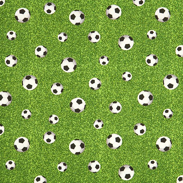 Decor Fabric Canvas Football Field – green,  image number 1