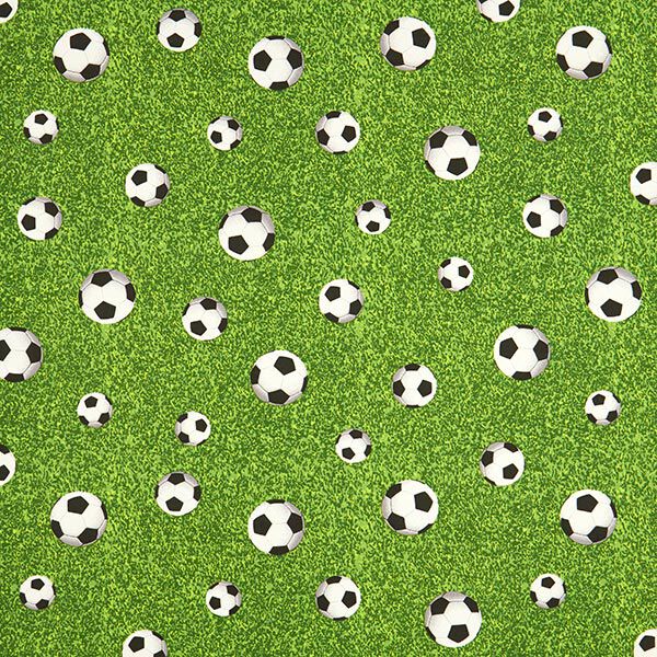 Decor Fabric Canvas Football Field – green, image number 1