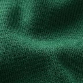 2x2 Ribbing Plain – fir green, 