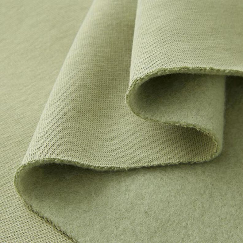 Brushed Sweatshirt Fabric – pistachio,  image number 4