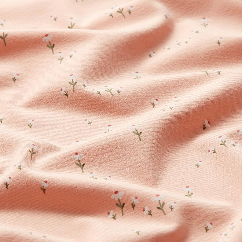Cotton Jersey Daisy meadow – rosé, image number 2