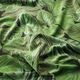 Decor Velvet Premium Undergrowth Plants – green,  thumbnail number 2