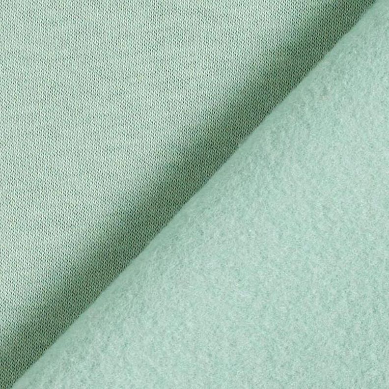 Brushed Sweatshirt Fabric – reed,  image number 5