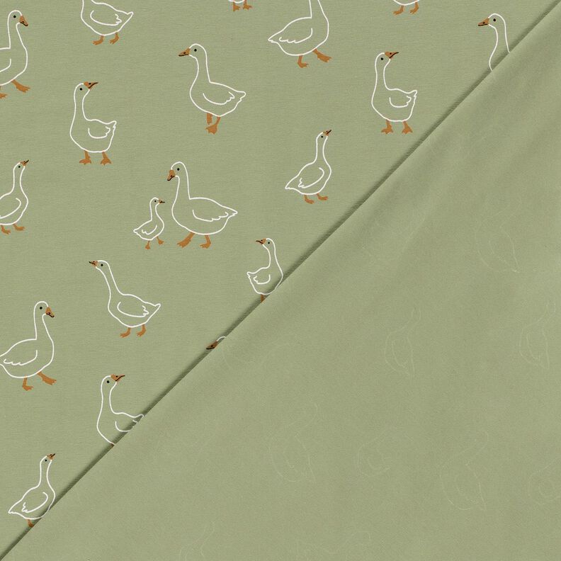 Cotton Jersey Goose family – reed,  image number 4