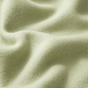 Cotton Fleece Plain – reed, 