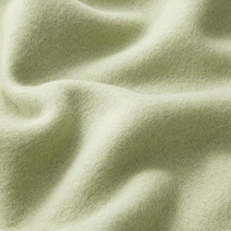 Cotton Fleece Plain – reed,  image number 3