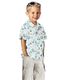 Cotton Poplin Party Animals – aqua blue,  thumbnail number 6