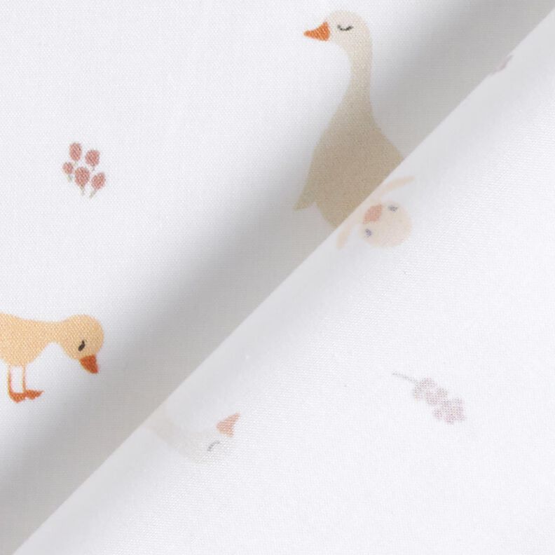 GOTS Cotton Poplin cute geese and chicks | Poppy Fabrics – white,  image number 4