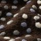 Wool knit colourful flecks – dark brown,  thumbnail number 2