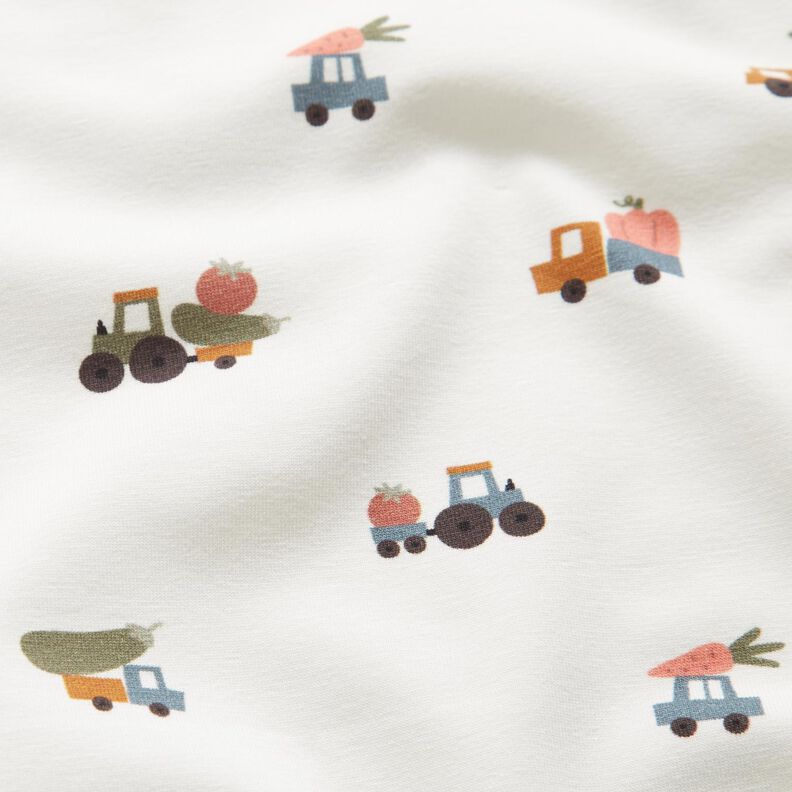 Cotton Jersey Vegetable delivery – offwhite,  image number 2