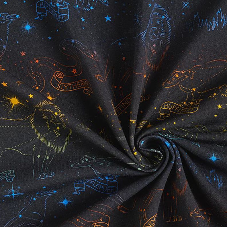 Cotton Jersey Licensed Fabric Heraldic animal constellations of Harry Potter | Warner Bros. – black,  image number 3