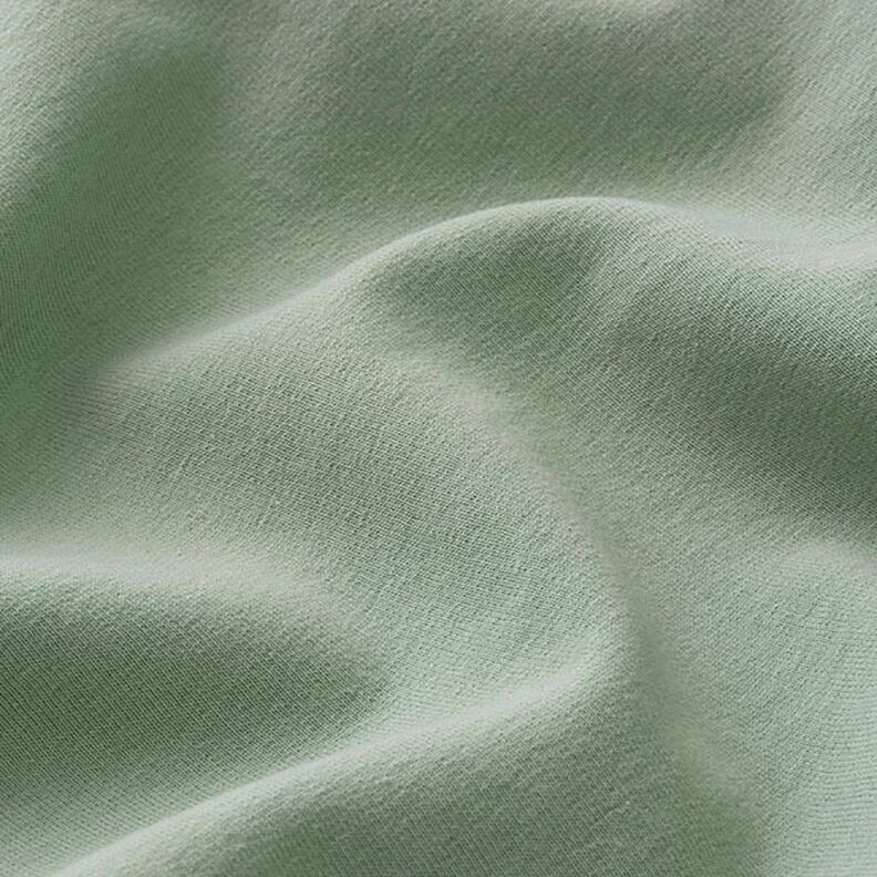Light Cotton Sweatshirt Fabric Plain – reed,  image number 4