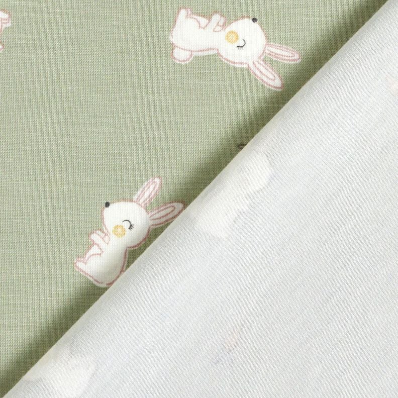 Bamboo Cotton Jersey Rabbit and carrot – greige, image number 4
