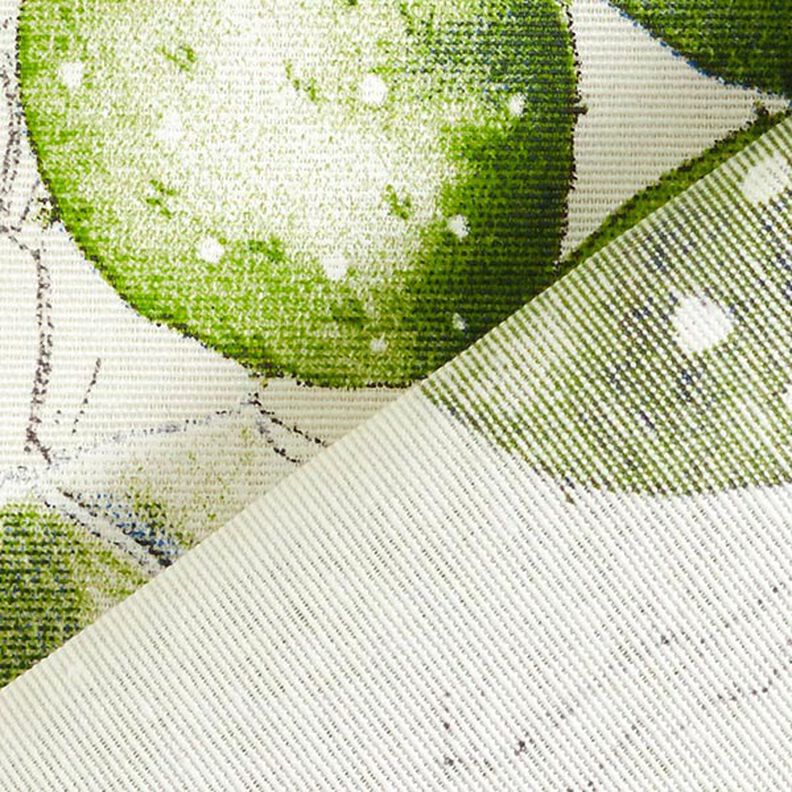 Decorative fabric Canvas Cacti – natural/green, image number 4