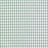 Cotton Vichy check 0,5 cm – sage/white,  thumbnail number 1
